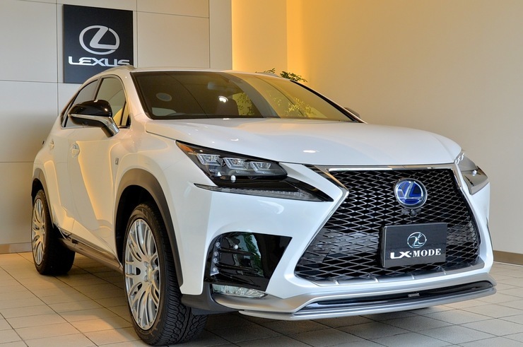 LX-MODE LEXUS NX: LEXUS NX details