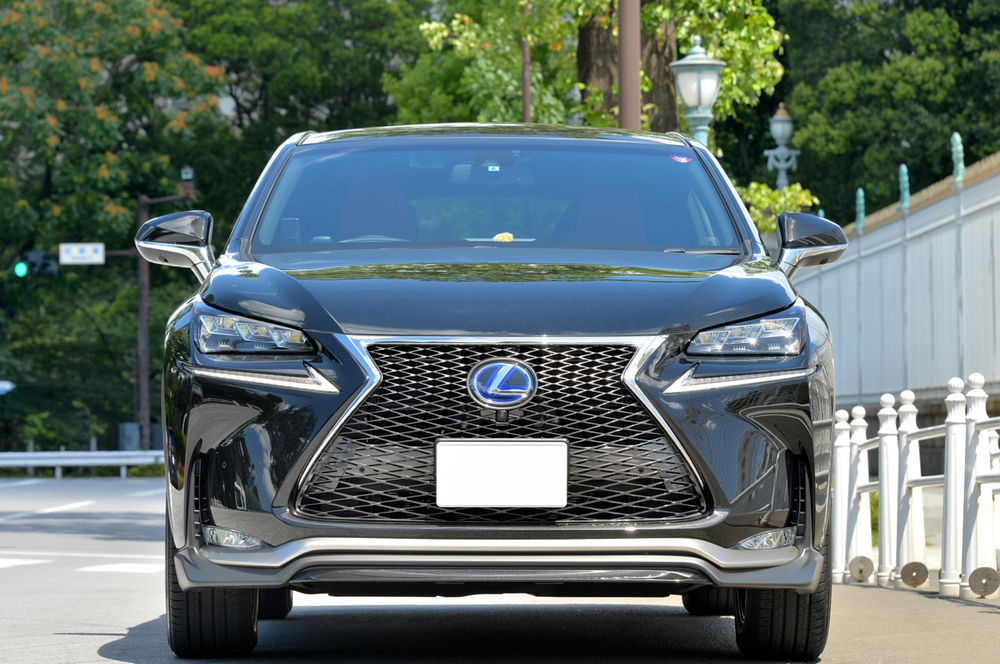 MY LEXUS NX300h F SPORT: LEXUS NX details